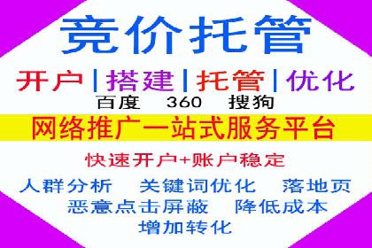 竞价SEM案例分享：行业霸主崛起之路